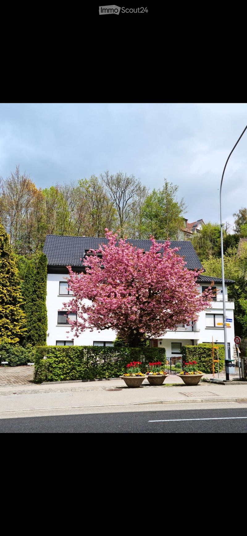 Neue Wohnform gesucht? (1)