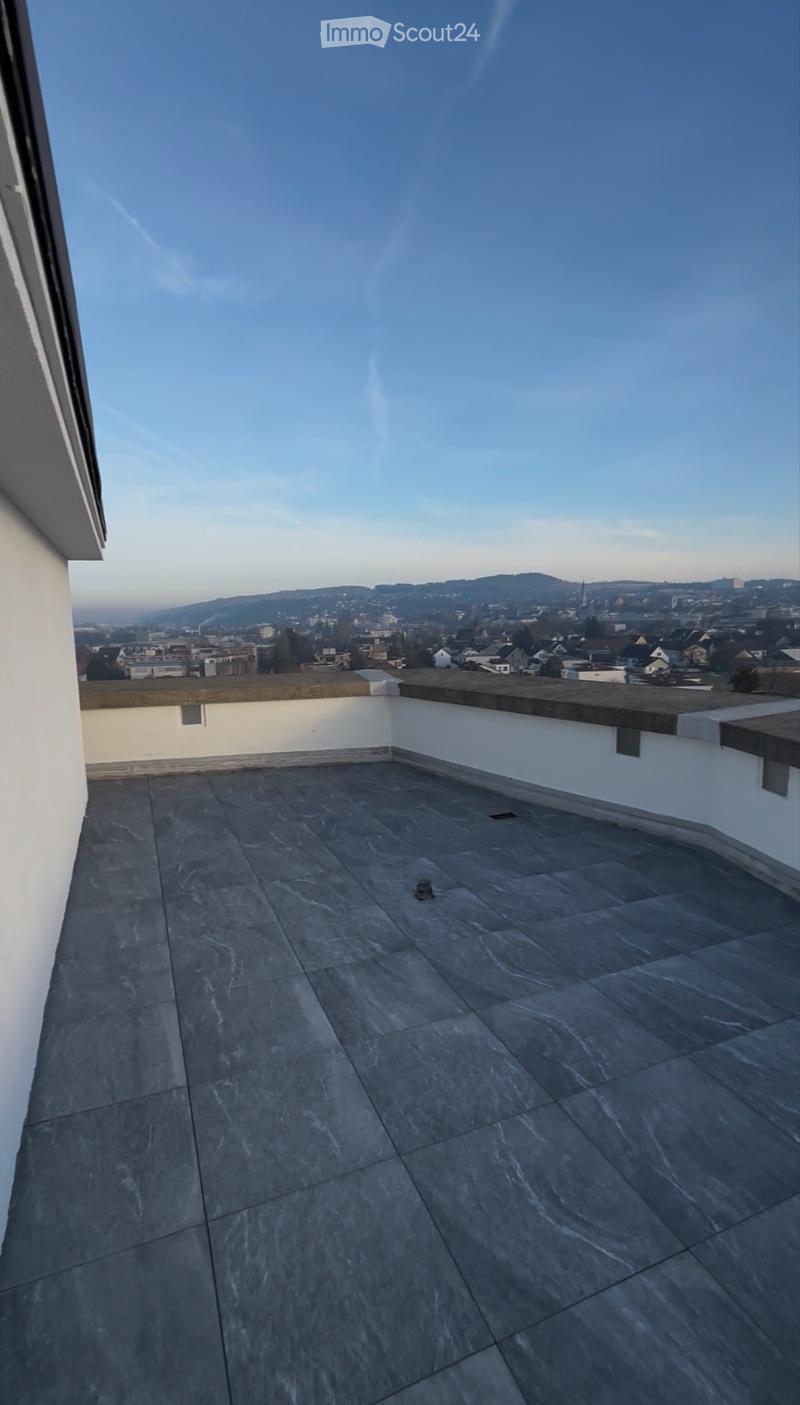 Moderne 1-Zimmer Wohnung mit riesiger Dachterrasse (2)