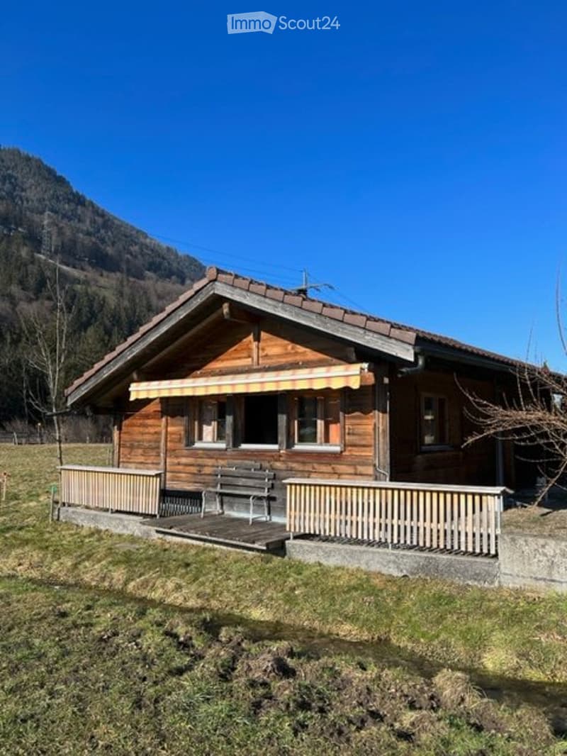 Einmaliges 1.5-Zimmerhaus im Grünen (1)