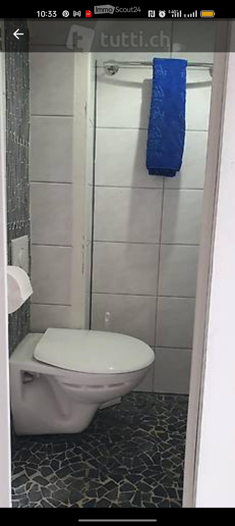 Möbliertes Zimmer (5)