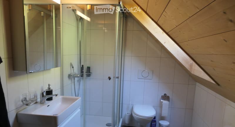 Ferien Wohnung zur Dauermiete (4)