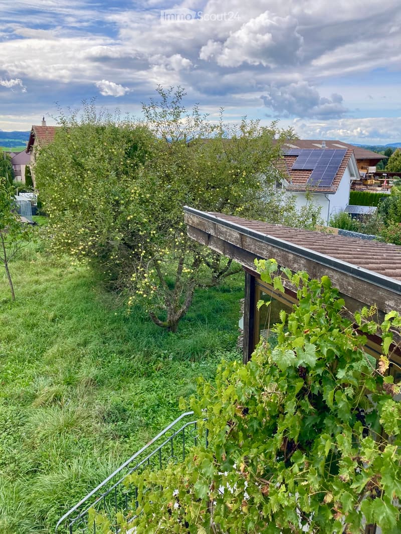 Helle 4-Zimmer-Wohnung mit Terrasse und Garten in Bettwiesen (1)