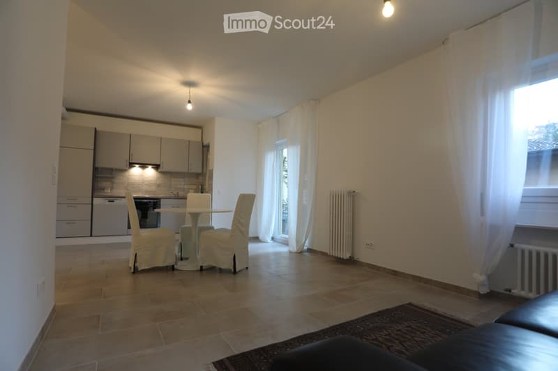 Vacallo - Ampio 3,5 locali con terrazza (3)