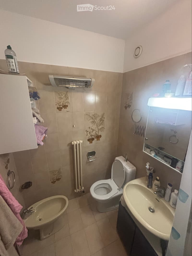 Appartamento arredato di 2,5 locali con vista sul Lago (3)