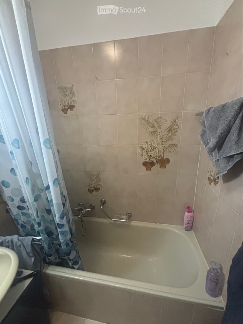Appartamento arredato di 2,5 locali con vista sul Lago (5)