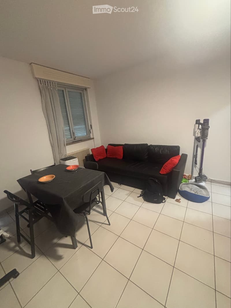 Appartamento arredato di 2,5 locali con vista sul Lago (2)