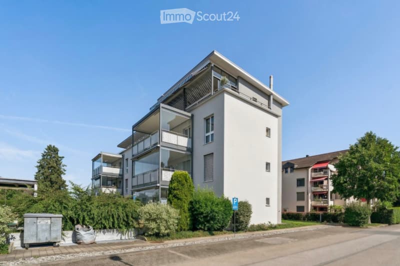 4,5 Zimmer Wohnung in Buttisholz (1)