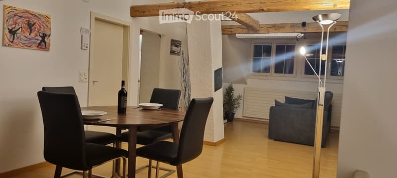 Möblierte 2.5 Zimmer Wohnung (1)