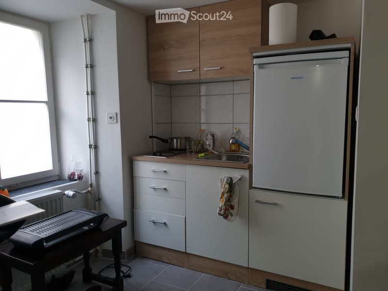 1,5 Zimmer Wohnung (5)
