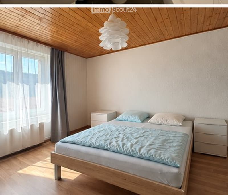 Bel appartement lumineux et chaleureux de 3 pièces (3)