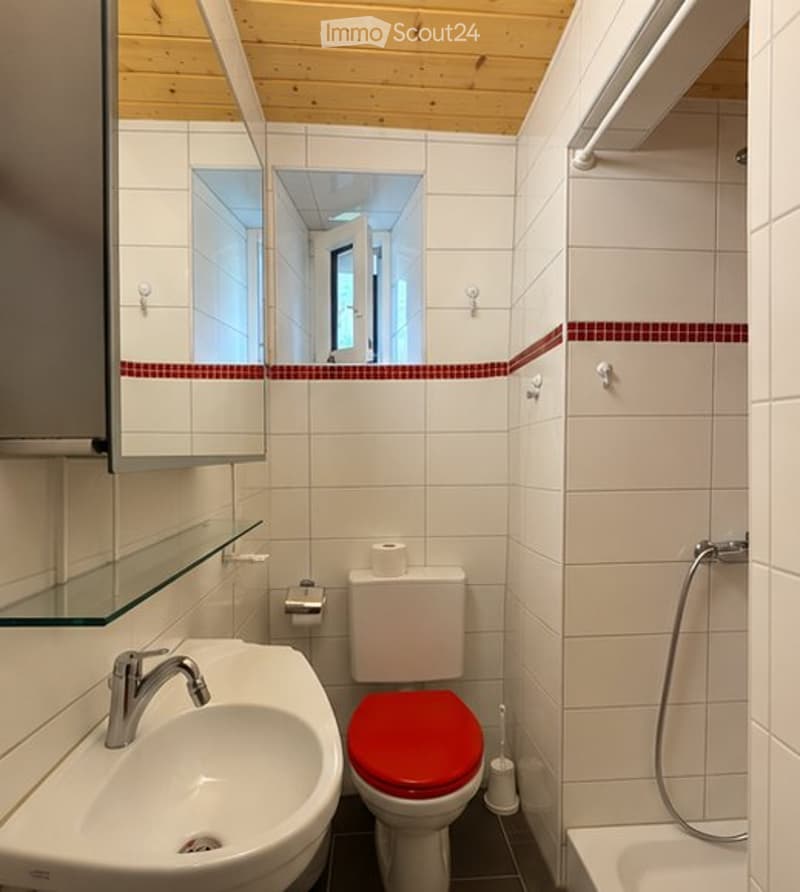 Bel appartement lumineux et chaleureux de 3 pièces (5)