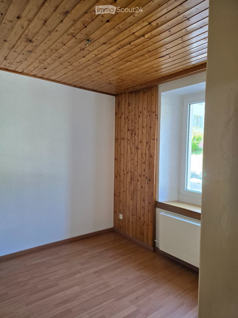 Bel appartement lumineux et chaleureux de 3 pièces (4)