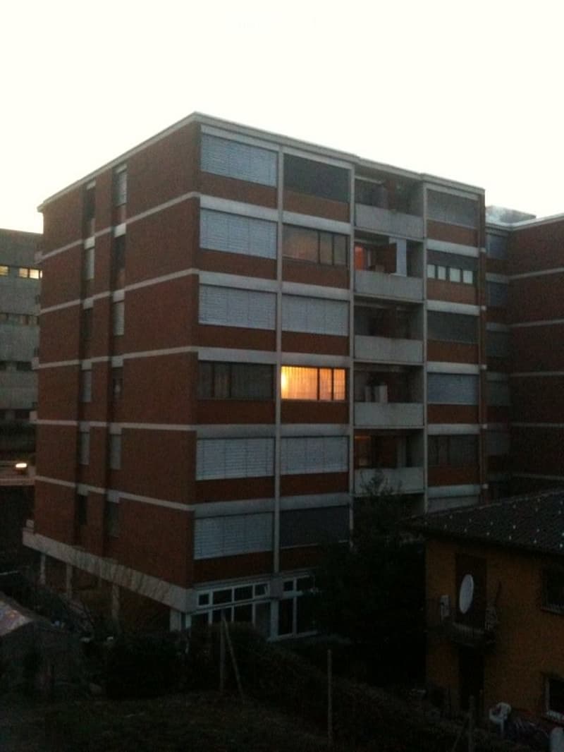 Affittasi 3.5 locali rinnovato a Massagno. opzione: arredato (5)