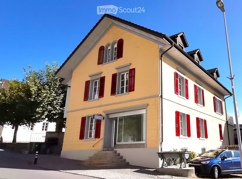 Grosszügige 4.5 Zimmer-Wohnung mit sonniger Terrasse (13)