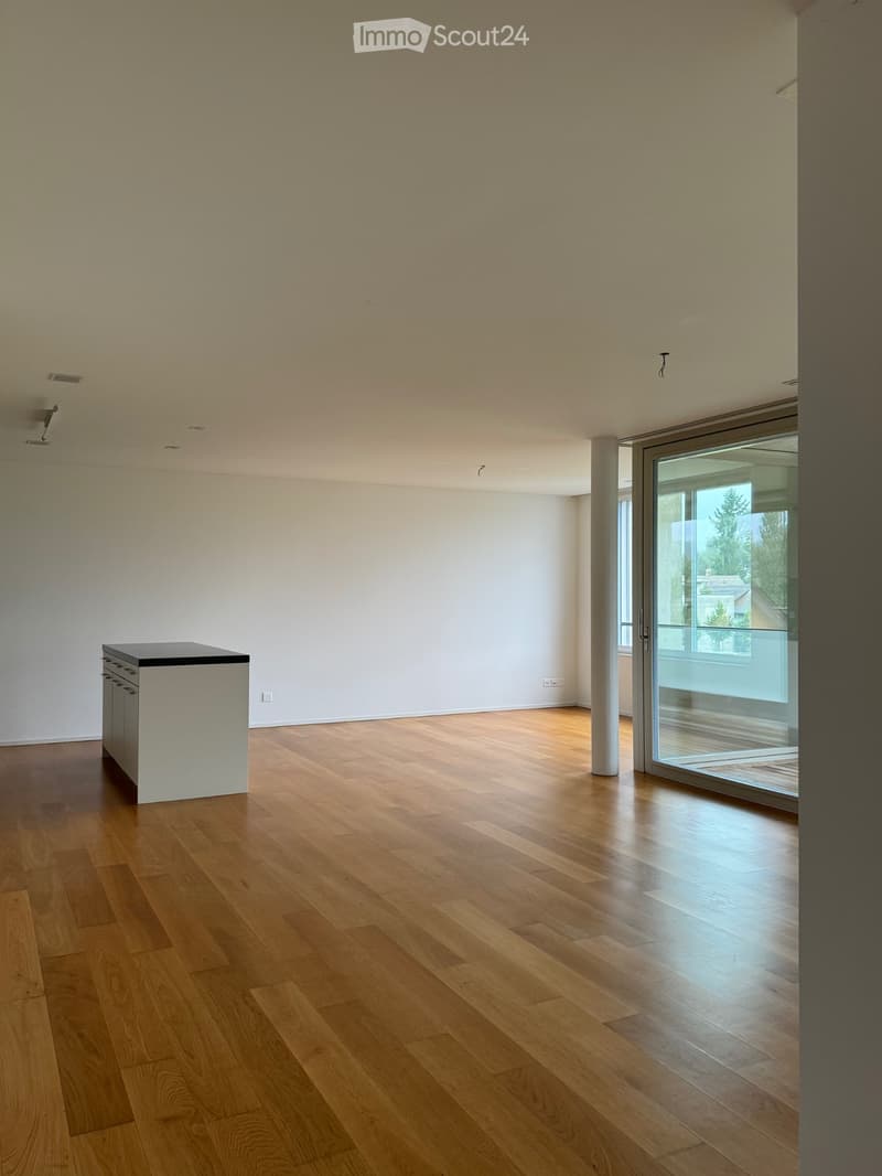 3.5 Zimmer-Wohnung in Windisch AG per sofort (4)