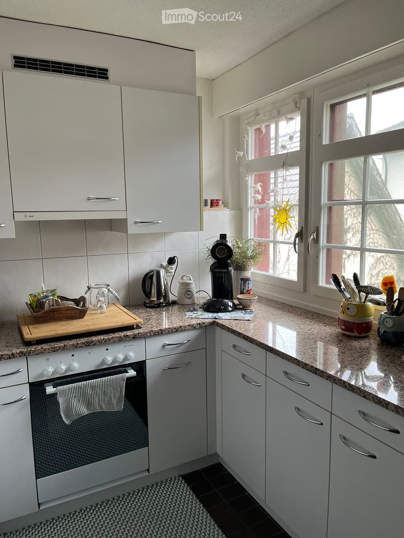 Schöne 2.5-Zimmer-Wohnung (71 m2) (2)