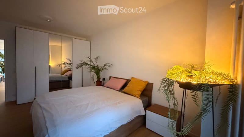 RICERCA SUBENTRANTE  SPLENDIDO APPARTAMENTO A LOCARNO (2)
