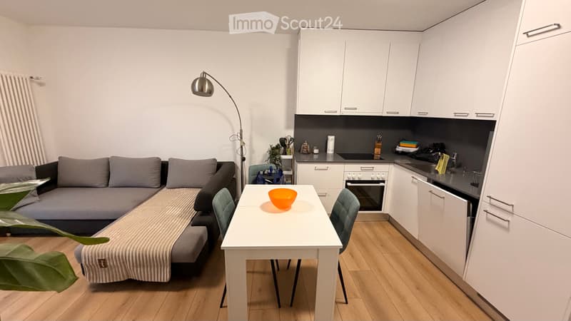 RICERCA SUBENTRANTE  SPLENDIDO APPARTAMENTO A LOCARNO (3)