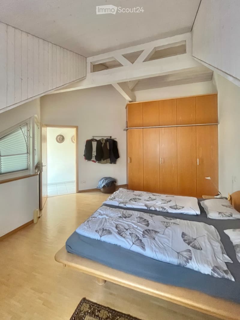 Einzigartige Attika-Wohnung mit spektakulärer Verglasung (4)