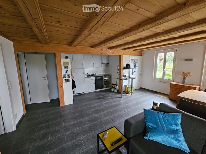 charmante 2,5 Zimmerwohnung im umgebauten Bauernhaus (3)