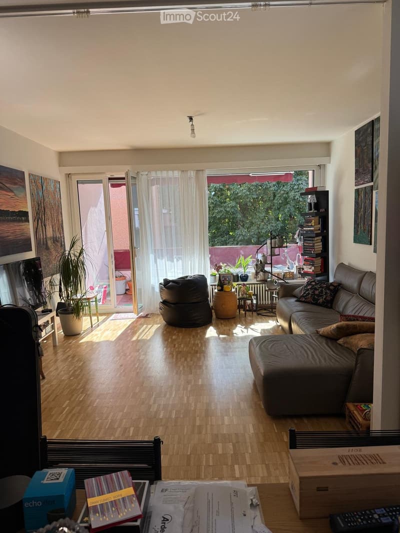 Appartamento comodo ampio e luminoso (1)
