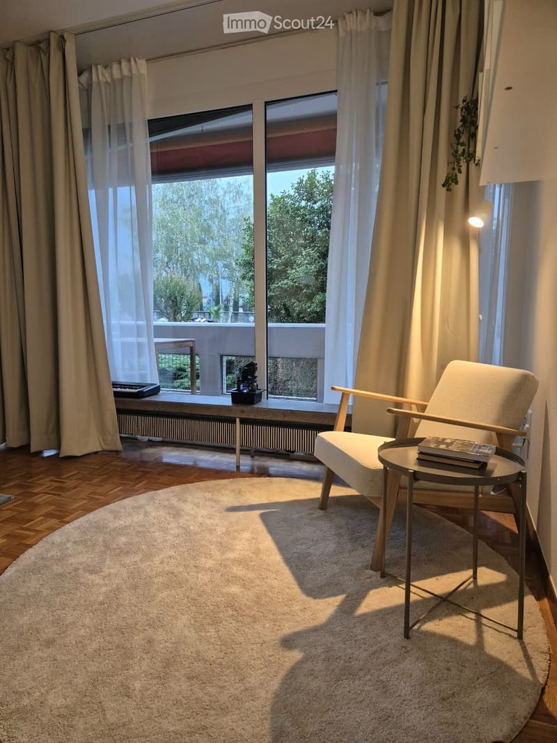 Bellinzona 1.5 locali arredato, 40 m² CHF 950/mese (2)