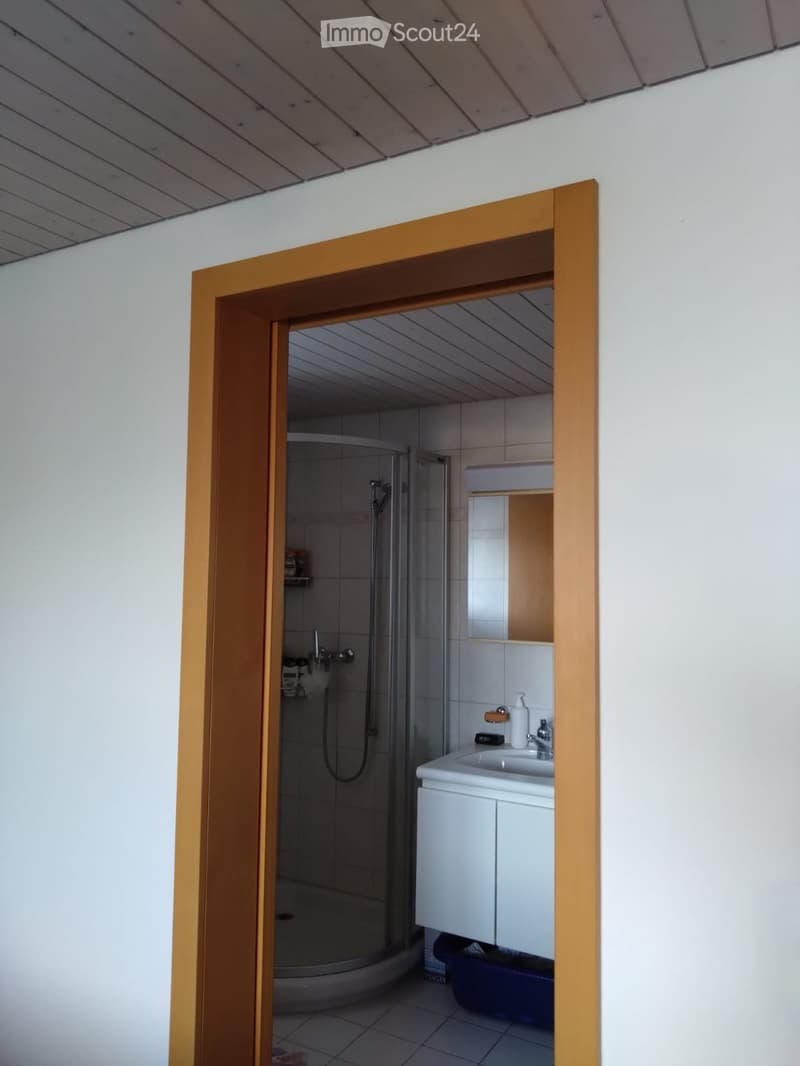 4.5 Zimmer-Wohnung in Zweifamilienhaus (4)