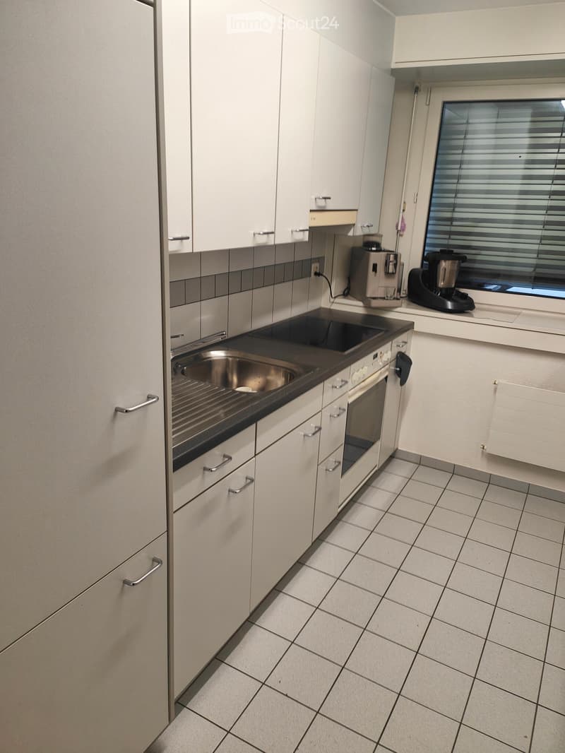 3.5-Zimmer-Wohnung mit grosser Terrasse in Emmenbrücke (3)