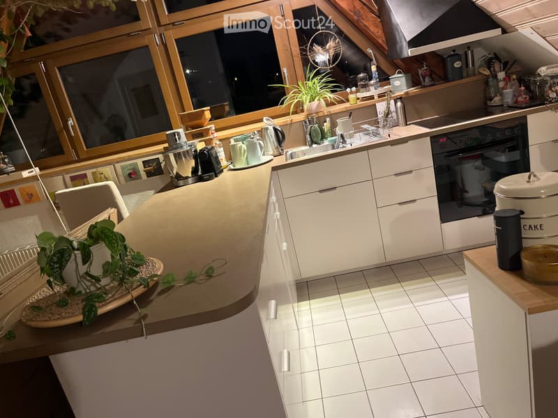 11/2 Zimmer Dachwohnung (3)