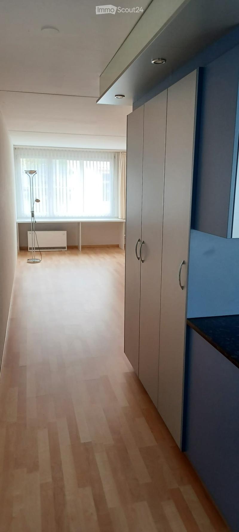 Zentrale und ruhige 1.5 Zimmer Wohnung in der Neustadt (4)