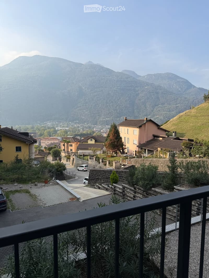 Moderno appartamento arredato di 1.5 locali con terrazzo (5)