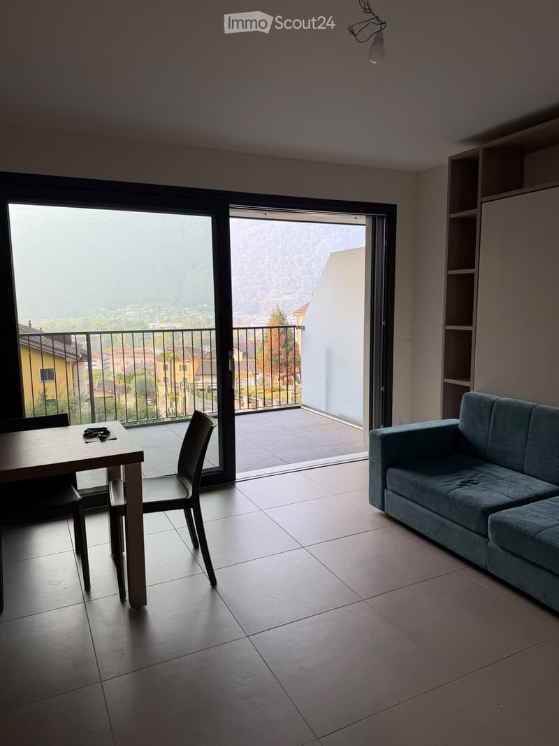 Moderno appartamento arredato di 1.5 locali con terrazzo (2)