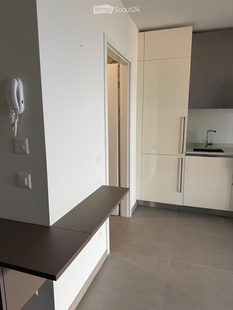 Moderno appartamento arredato di 1.5 locali con terrazzo (3)
