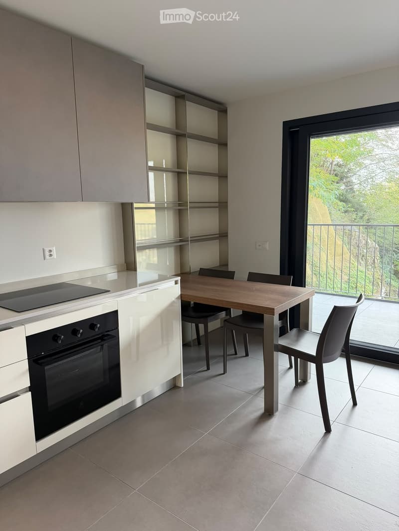 Moderno appartamento arredato di 1.5 locali con terrazzo (1)
