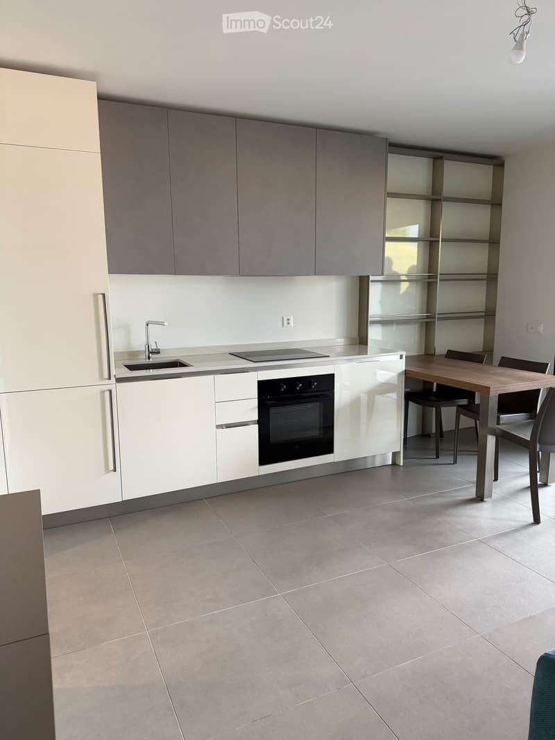 Moderno appartamento arredato di 1.5 locali con terrazzo (4)