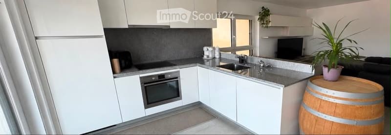 Appartamento duplex a Camorino (2)