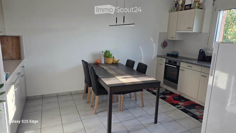 Cercasi subentrante Appartamento 4.5 (5)