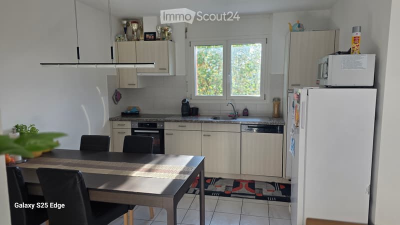 Cercasi subentrante Appartamento 4.5 (4)