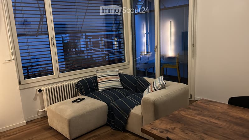 Cerco Subentrante per un 2.5 locali a Lugano per il 01.02.27 (4)