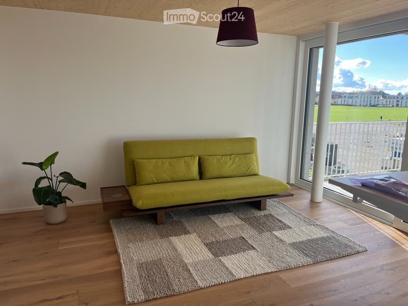 Moderne 4.5-Zimmer-Wohnung in ruhiger Lage (9)