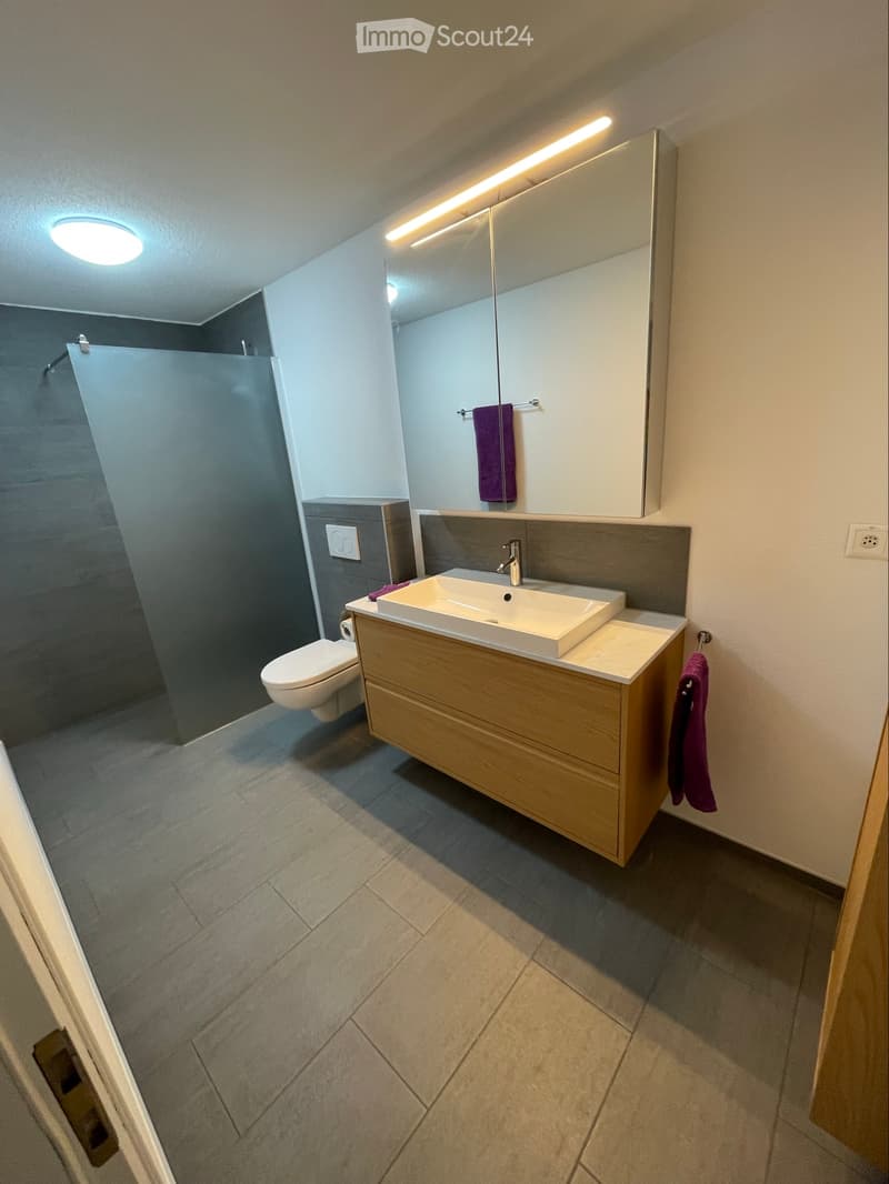 Neu renovierte 4.5-Zi-Whg. (3)