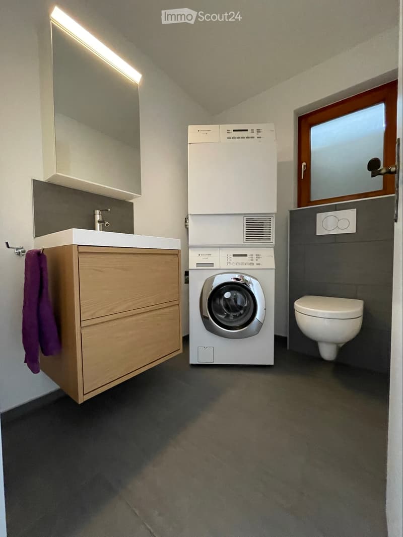 Neu renovierte 4.5-Zi-Whg. (4)