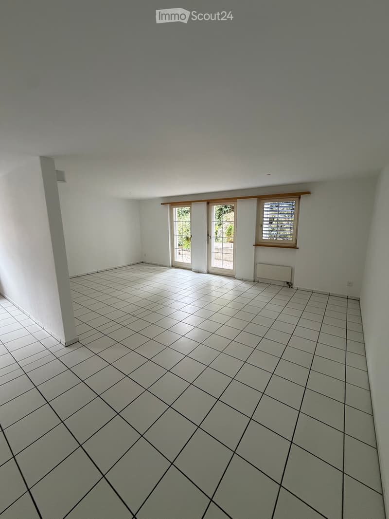 Charmantes 5.5-Zimmer-Haus (3)