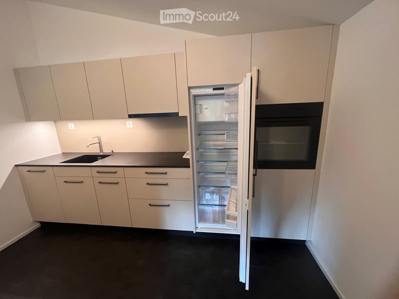 Grosszügige 3 Zimmer-Dachwohnung (4)