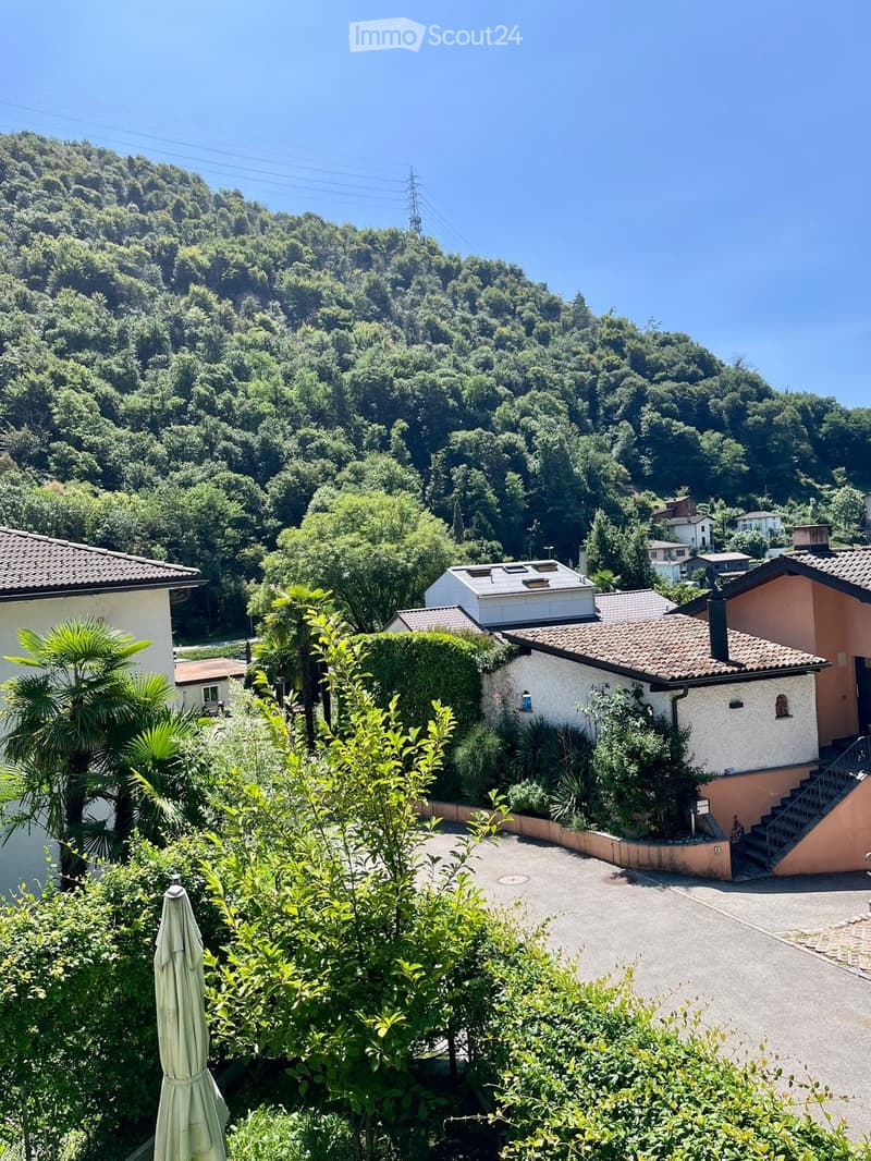 Lugano nel verde vicino scuole, lago e bus 2 1/2 giardino (1)