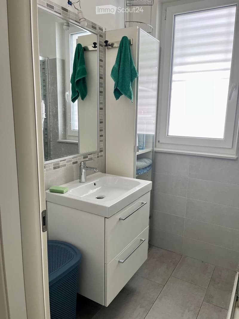Lugano nel verde vicino scuole, lago e bus 2 1/2 giardino (4)