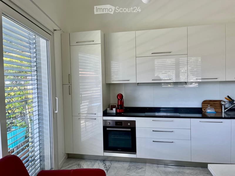 Lugano nel verde vicino scuole, lago e bus 2 1/2 giardino (2)