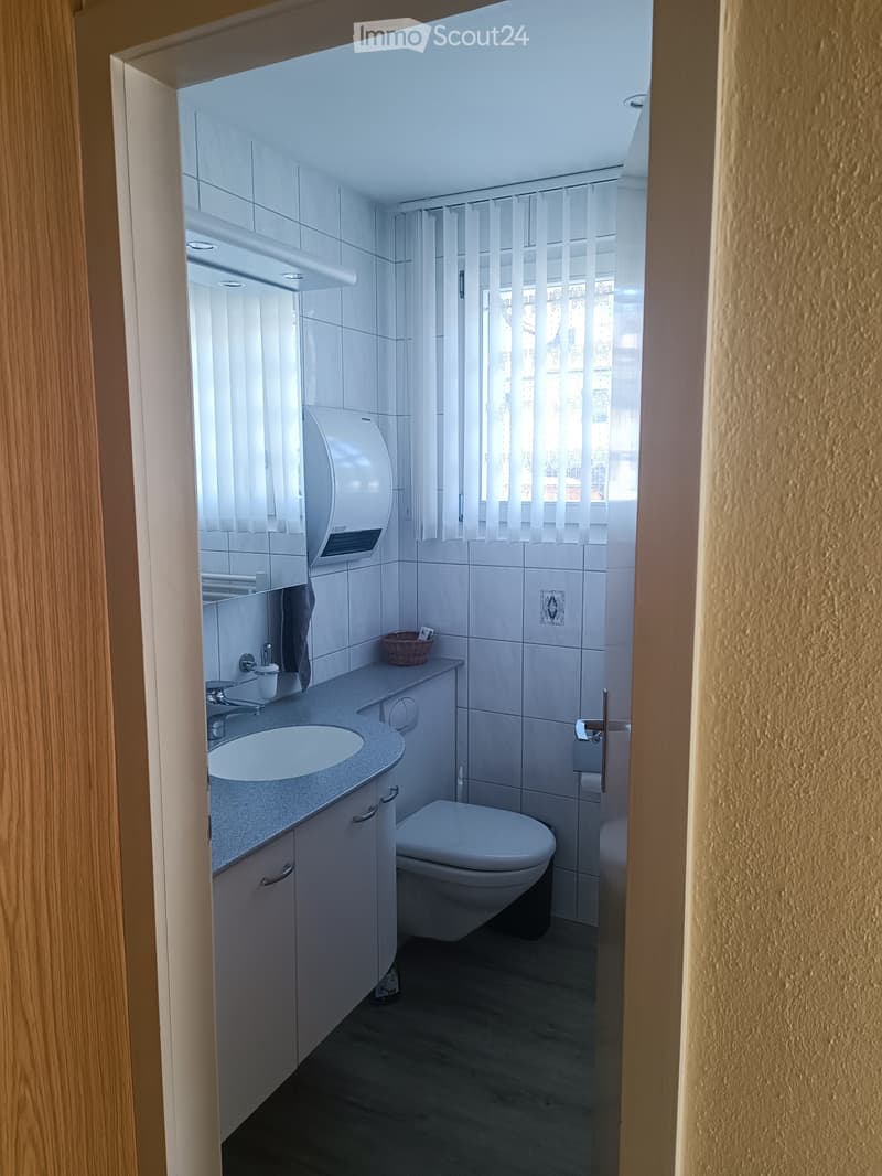 Freistehendes Haus mit Garten. Gewerbliche Nutzung möglich (3)