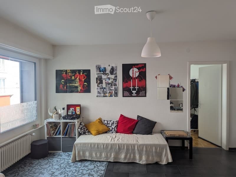Appartement de 2 pièces précédemment rénové en centre ville (3)