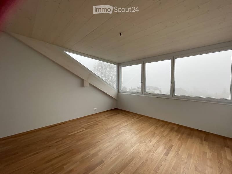 Nachmieter für Duplex-Wohnung 4-5 Zimmer 175 m2 gesucht (3)